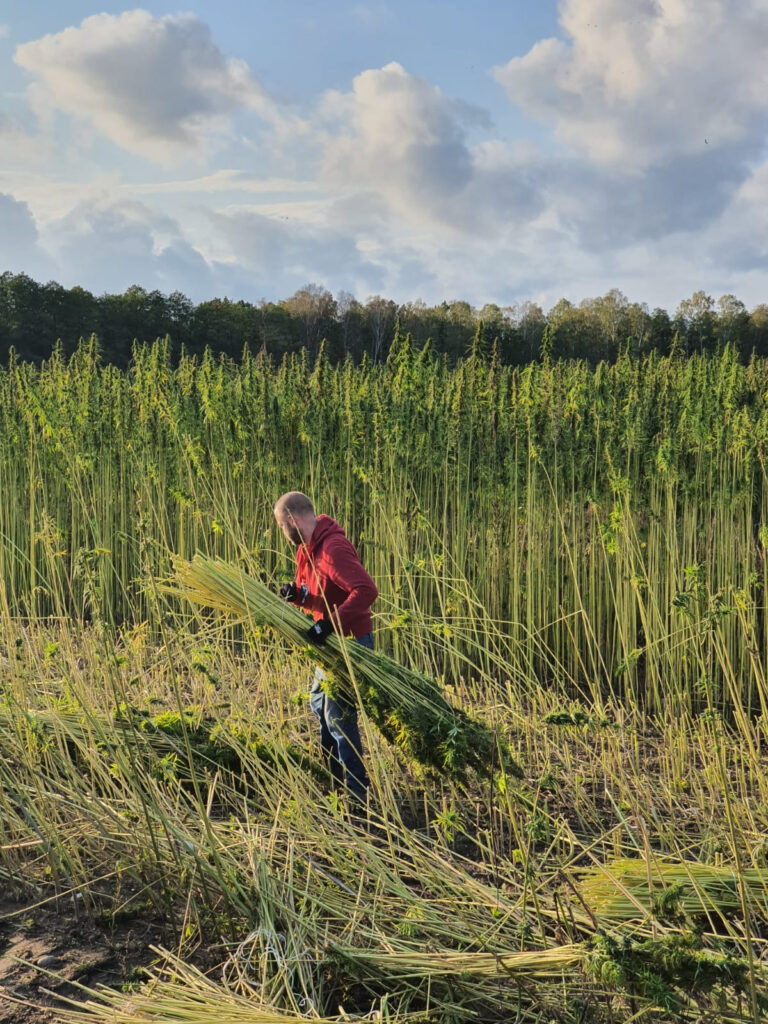 harvest2