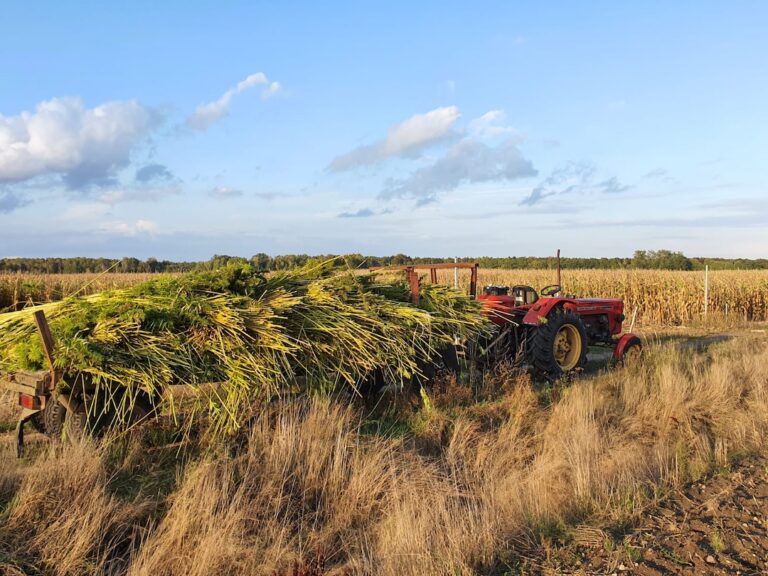 tractor harvest