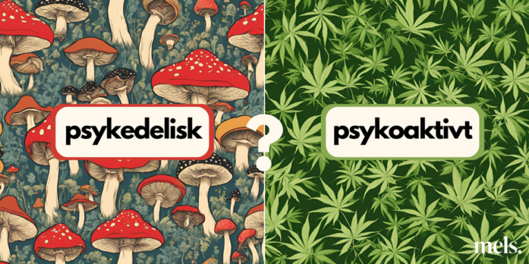 Psykoaktiv, Psykedelisk, stoffer, sopp, THC, psilocybin, Mels